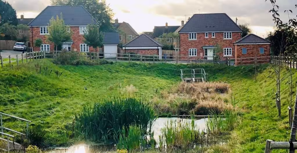 wetlands